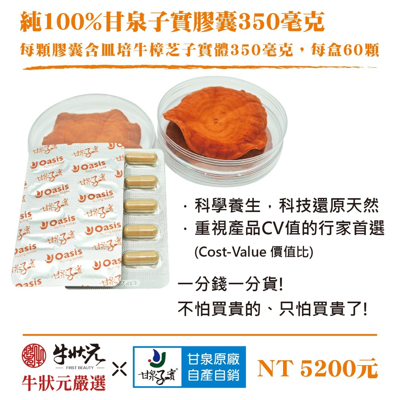 [牛狀元嚴選] 甘泉子實膠囊350毫克(60顆裝)｜皿培牛樟芝子實體