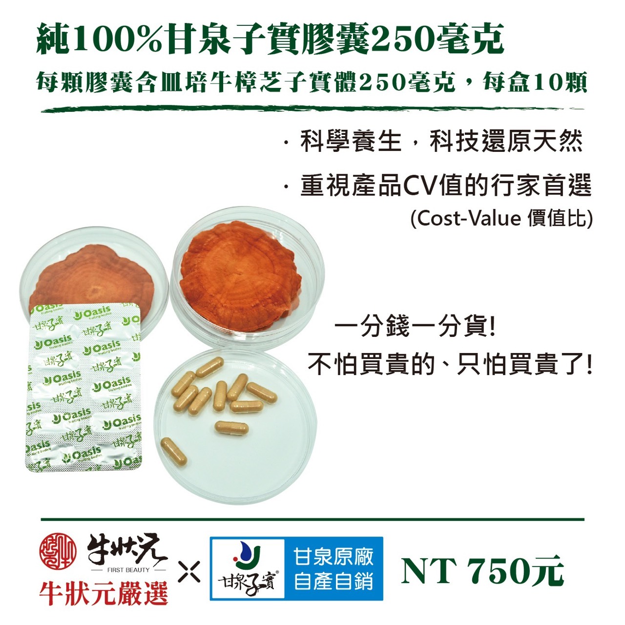 [牛狀元嚴選] 甘泉子實膠囊250毫克(10顆裝)｜皿培牛樟芝子實體