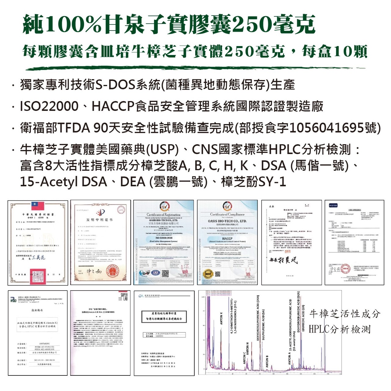 [牛狀元嚴選] 甘泉子實膠囊250毫克(10顆裝)｜皿培牛樟芝子實體