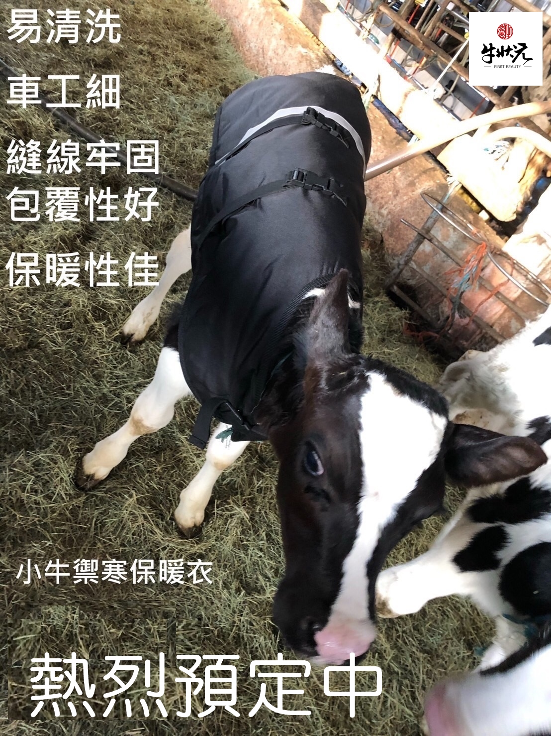 [牛狀元推薦] 小牛犢牛保暖禦寒衣 防寒保暖 冬天牧場小牛必備
