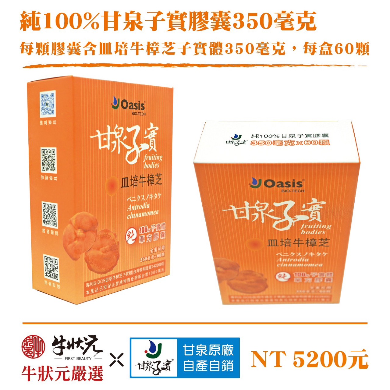 野生牛樟芝 樟芝 牛樟芝 子實體 皿培 皿培研究所 純單方 皿培牛樟芝子實體 膠囊 350毫克 健康維持 病後補養 調整體質