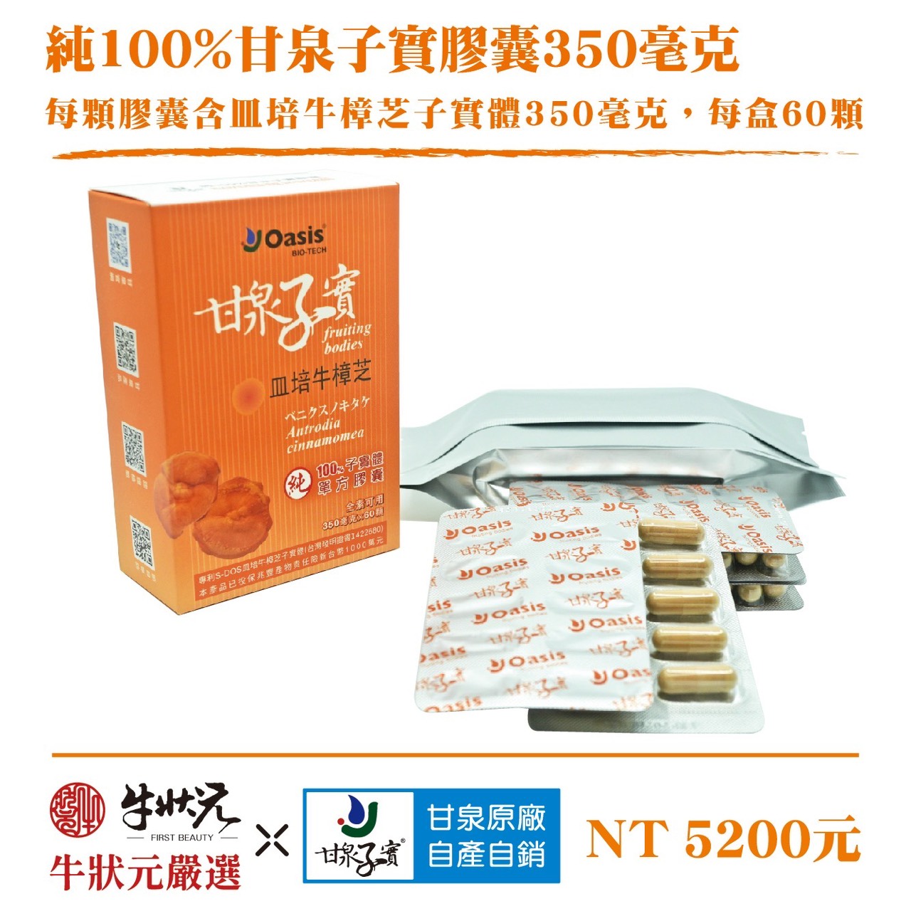 皿培牛樟芝子實體 膠囊 350毫克 健康維持 病後補養 調整體質