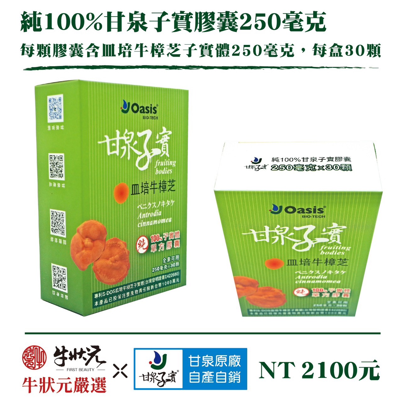 野生牛樟芝 樟芝 牛樟芝 子實體 皿培 皿培研究所 純單方 皿培牛樟芝子實體 膠囊 250毫克 精神旺盛 增強體力 調整體質
