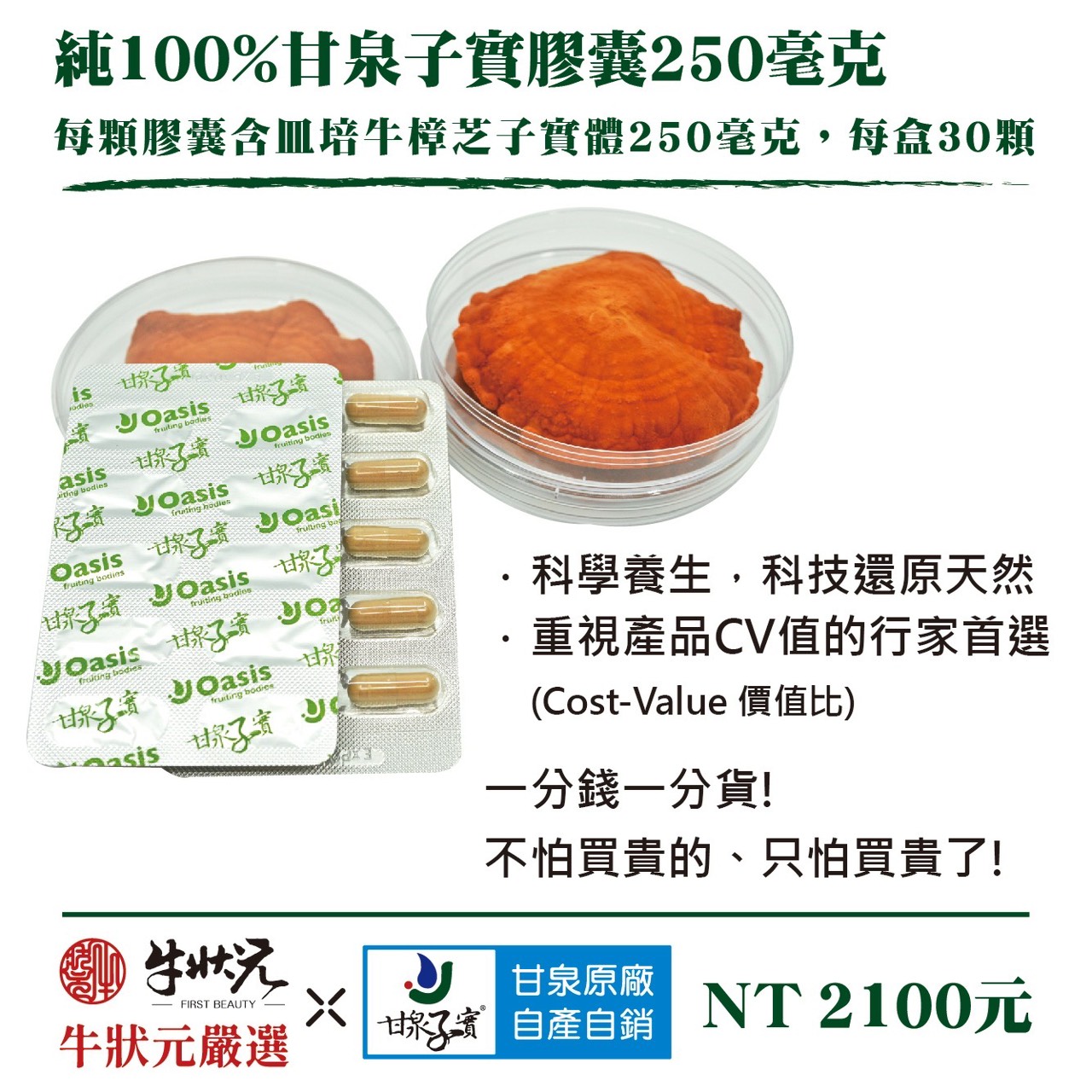 野生牛樟芝 樟芝 牛樟芝 子實體 皿培 皿培研究所 純單方 皿培牛樟芝子實體 膠囊 250毫克 精神旺盛 增強體力 調整體質